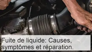 Fuite de liquide de refroidissement: Causes, Sympt&ocirc;mes & r&eacute;paration &bull; Fiches Auto 24