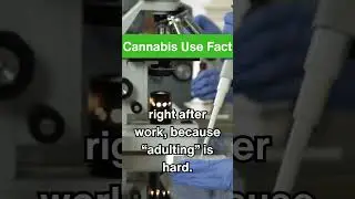 High Science&reg; | Cannabis Use Facts: Popular Times For People To Smoke or Light Up Is?