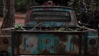 Wandering around Old Car City