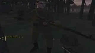 Operation Flashpoint: Liberation мод #2