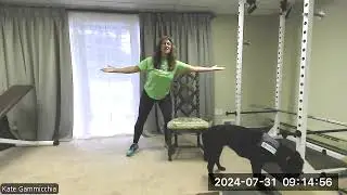 Uncut Silver Sneaker Yoga / Down Dog & Lunge (w/Millie FLD) / Hoffman's Hands