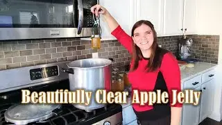 Вкусное яблочное желе: простое консервирование на водяной бане