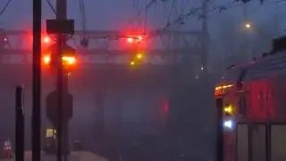 The Birds and Flashing Signals at Amtrak's Trenton Station