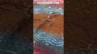 @KalaBandhej  Multi color Bandhani Dupatta | Pure Gajisilk | Kala Bandhej