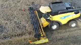 ETA Lagreve Moisson de colza 2020