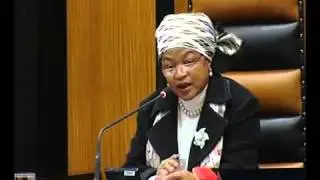 Plenary: National Assembly, 18 June 2015
