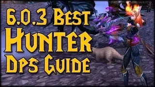 6.0.3 Best Hunter Dps Guide! (With Pets!)