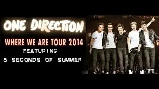 One Direction - Little White Lies/Best Song Ever - WWA Tour 2014