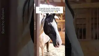 Neglected horse experiences love for the first time. 🐴❤️&zwj;🩹