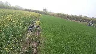 Agri 82 and  Humik ka10 din baad