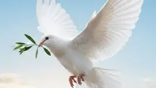 9 pasajes bonitos de la biblia que debes aprender, imagen y audio🙏🏻