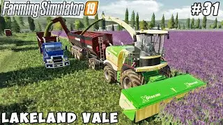 Harvesting alfalfa, chopping for fermentation & making bales | Lakeland Vale 2 | FS 19 | ep #31