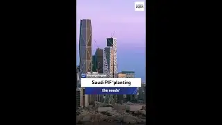 CIO, Haytham & Co: Saudi PIF planting the seeds