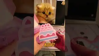 САМАЯ МИЛАЯ КЛАВИАТУРА! @YUNZIIKEYBOARD #yunzii #keyboard #клавиатура