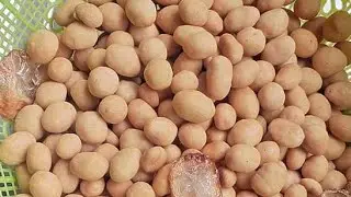 Beginners Friendly Coated Peanut Recipe/ How to make coated peanuts from scratch