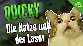 QUICKY # 113 - Die Katze und der Laser «» Best of PietSmiet | HD