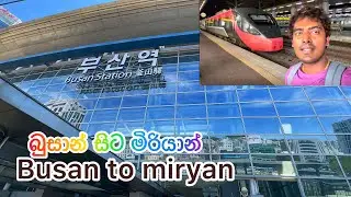 Busan  🚉 to miriyan කෝච්චියෙන් යමු මිරියන්