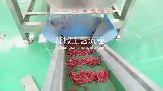Dry Chili Clean Teja Chilli S17 Sannam Chillies 334 Production Line Wonder hot Chile Ancho Mirasol