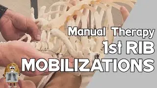 1st Rib Mobilizations Manual Therapy Techniques