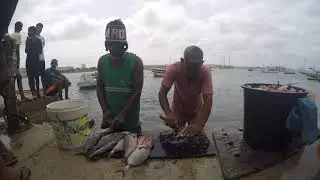 Exploring Cape Verde - Sal Island