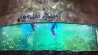 Mermaid Show Part 2 at Ocean Dream Samudra Ancol #ancol #ancoltamanimpian#mermaidshow #mermaids#wow
