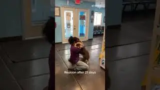 Dog & Owner Reunite After 3 Weeks