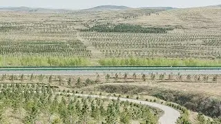 How China Transformed Its Deserts (Explained Simply)
