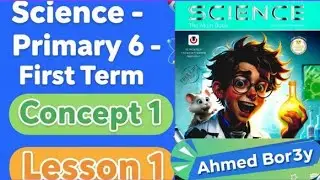 حل تدريبات المعاصر كاملة grade 6- concept 1- first term (2026)
