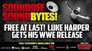 FREE AT LAST!  Luke Harper And Others Get Their WWE Release