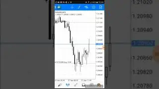 The Forex strategy that grows every account,staying forever in profit.