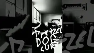♤Punk Rock Annual Zoo♤