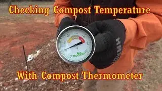 Compost Pile Temperature Check