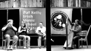 Irish Music School Elmstein 2014  - Teacher's Concert  (1)
