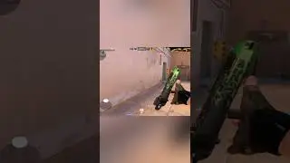Союзники ❣️ #standoff2 #стандофф2 #awmheadshot