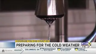 How to best protect pipes, pets and plants from the cold weather