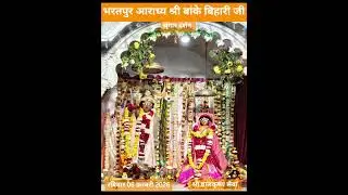 Bharatpur's adorable Thakur Shri Banke Bihari Ji - decoration darshan #bhartpur #shrots #bankebihari #radharani