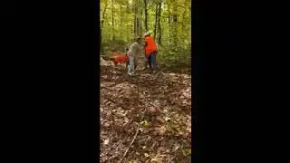 tree tipping!