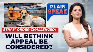 Supreme Court's Stray Dog Dilemma: Balancing Public Safety and Animal Rights | #plainspeak | News18