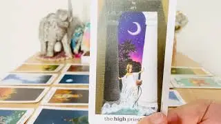 Scorpio Next 24 Hrs! Tarot Love Collective Reading ❤️