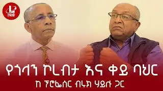 Lualawi ሉዓላዊ/ ቀይባሕር እና የጎላን ኮረብታ -ከፕሮፌሰር ብሩክ ኃይሉ ጋር  በዋሺንግተን ዲሲ ሰዓት