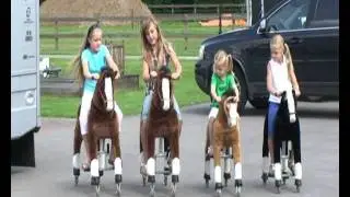 Animal Riding Amazing Walking Animals