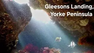 Gleesons Landing Dropoff | Adelaide Freedive Tribe