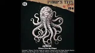 CYBREX - Where i put my finger ? ( KINGKA Remix ) ( PIMP'S TITS RECORDS )
