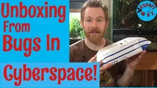 Unboxing from Bugsincyberspace!