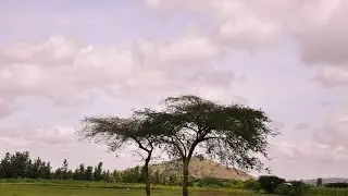 WELCOME TO TANZANIA | ARUSHA, TANZANIA
