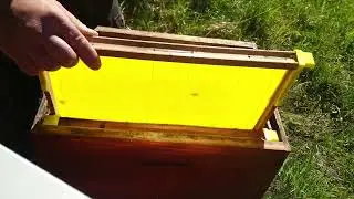 Ne smejo te prehiteti!