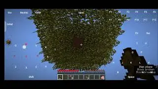 Minecraft HMCLPE           (subscribe pls)