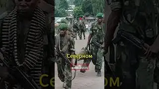 Ужасающая трагедия в Конго 70 христиан стали жертвами террористов