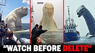 They Encountered An ancient sea monster has emerged from the depths. Caught On Camera