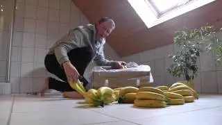 Bananen lagern - So mache ich es - Vorbereitung f&uuml;r Banana Islands - HighCarbLifestyle